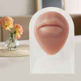 Maxbell Human Body Part Models Silicone Modeling for Home mouse with stand