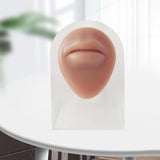 Maxbell Human Body Part Models Silicone Modeling for Home mouse with stand