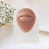 Maxbell Human Body Part Models Silicone Modeling for Home mouse with stand