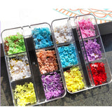 Maxbell Mixed 3D Flower Nail Charms 6 Grids Nail Decoration Supplies for Nail Crafts Style A