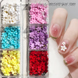 Maxbell Mixed 3D Flower Nail Charms 6 Grids Nail Decoration Supplies for Nail Crafts Style B