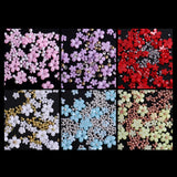 Maxbell Mixed 3D Flower Nail Charms 6 Grids Nail Decoration Supplies for Nail Crafts Style B