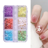 Maxbell Mixed 3D Flower Nail Charms 6 Grids Nail Decoration Supplies for Nail Crafts Style C