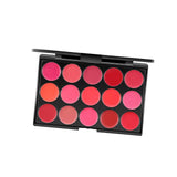 Maxbell Maxbell 15 Colors Lipstick Cosmetic Palette for Girls Salon Artist Beginners