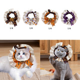 Maxbell Pet Halloween Pumpkin Costume Decorative Pet Neckwear for Kitten Puppy black S