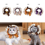 Maxbell Pet Halloween Pumpkin Costume Decorative Pet Neckwear for Kitten Puppy black S