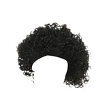 Maxbell Punk Metal Rocker Character Costume Wig Fancy Dress Wig for Family Women Men Black