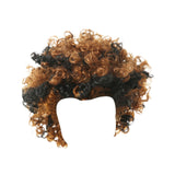 Maxbell Punk Metal Rocker Character Costume Wig Fancy Dress Wig for Family Women Men Mix Color