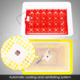 Maxbell Automatic 24 Chicken Pigeon Quail Eggs Incubator Turner Tray with 220V Volt Motor - Aladdin Shoppers