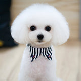 Maxbell Maxbell Striped Decorating Pet Dog Necktie Collar Leash with Nail Catcher Blue S