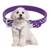 Maxbell Maxbell Adjustable Dotted Pet Puppy Dog Collar Heart Pendant Necklace S_Purple