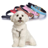 Maxbell Maxbell Adjustable PU Leather Pet Puppy Dog Collar Safety Neck Buckle Strap  M Blue