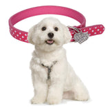 Maxbell Maxbell Adjustable Pet Dog Cat Collar Puppy Neck Collar Metal Buckle PU Material M