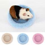 Maxbell Maxbell Pet Play Toy Pad Sleep Gym Mat Combo for Guinea Pig Hamster Small Animal