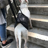 Maxbell Maxbell Dog Lift Harness Mobility Lifting Aid Support Harness with Handle M Gray
