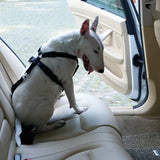 Maxbell Maxbell Adjustable Pet Dog Car Safety Seat Belt Harness Vest Restraint Lead Leash S