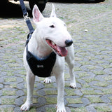 Maxbell Maxbell Adjustable Pet Dog Car Safety Seat Belt Harness Vest Restraint Lead Leash M