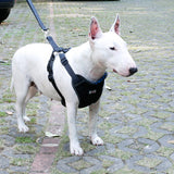 Maxbell Maxbell Adjustable Pet Dog Car Safety Seat Belt Harness Vest Restraint Lead Leash M