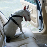 Maxbell Maxbell Adjustable Pet Dog Car Safety Seat Belt Harness Vest Restraint Lead Leash L