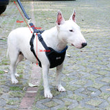Maxbell Maxbell Adjustable Pet Dog Car Safety Seat Belt Harness Vest Restraint Lead Leash L