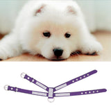 Maxbell Maxbell Bling Diamond Crystal Collar Pet Cat Dog Harness Chest Strap Lead Purple M