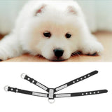 Maxbell Maxbell Bling Diamond Crystal Collar Pet Cat Dog Harness Chest Strap Lead Black L