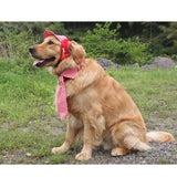 Maxbell Maxbell Summer Pet Dog Cat Baseball Visor Hat Puppy Cap Outdoor Sunbonnet Red S