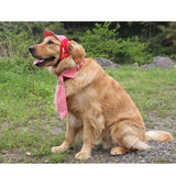 Maxbell Maxbell Summer Pet Dog Cat Baseball Visor Hat Puppy Cap Outdoor Sunbonnet Red M