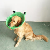Maxbell Maxbell Dog Cat Elizabethan Collar E-Collar Medical Wound Cone Collar M Green Frog