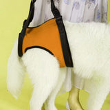 Maxbell Maxbell Pet Auxiliary Belt Dog Harness Carriers Assist Sling Portable Lift L Orange