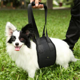 Maxbell Maxbell Pet Auxiliary Belt Support Harness For Elderly and Sick Pet M Black