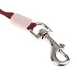 Maxbell Maxbell Flexible Automatic Retractable Leash Dog Cat Lead Walking Leash 3meter Red