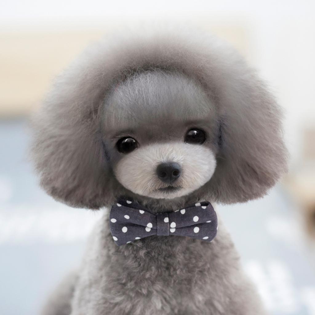 Maxbell Maxbell Pet Dog Cat Holiday Party Bow Tie Collars With Ring Bell M Grey-Dot