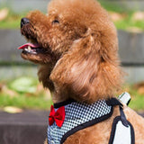 Maxbell Maxbell 10 Styles Adjustable Pet Dog Puppy Vest with Matching Lead Leash Set 9#