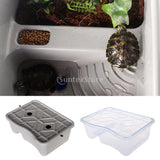 Maxbell Maxbell Plastic Reptile Terrapin Tortoise Turtle Tank Vivarium & Cover Light Blue