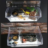 Maxbell Maxbell Reptile Lizard Spider Beetle Scorpion Insect Vivarium Feed/Rearing Box Black
