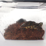 Maxbell Maxbell Reptile Lizard Spider Beetle Scorpion Insect Vivarium Feed/Rearing Box Black