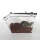 Maxbell Maxbell Reptile Lizard Spider Beetle Scorpion Insect Vivarium Feed/Rearing Box Black