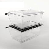 Maxbell Maxbell Reptile Lizard Spider Beetle Scorpion Insect Vivarium Feed/Rearing Box Black