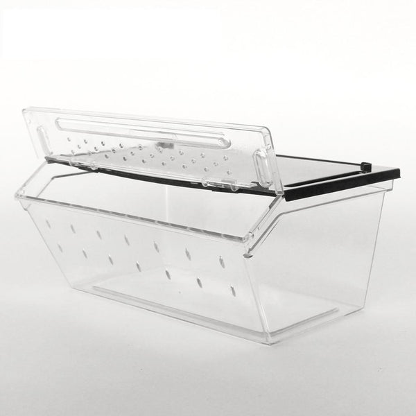 ⚡️Buy Maxbell Maxbell Reptile Lizard Spider Beetle Scorpion Insect ...