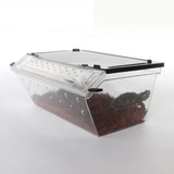 Maxbell Maxbell Reptile Lizard Spider Beetle Scorpion Insect Vivarium Feed/Rearing Box Black