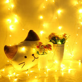 Maxbell 304 LED Curtain Light Fairy String Light Home Curtain Decor Lamp Warm White - Aladdin Shoppers