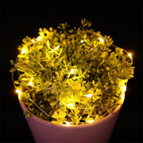 Maxbell Copper Wire LED Fairy String Lights Holiday Xmas Decor 4m-40 LED Warm White - Aladdin Shoppers