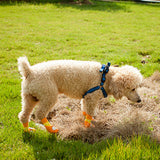 Maxbell Maxbell 4x Waterproof Pet Dog Socks Puppy Anti-slip Boots Paw Protection Yellow - M
