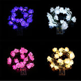 Maxbell 20LEDs Green Rattan Rose String Fairy Light 2.2m Garland Fairy Light Warm White - Aladdin Shoppers