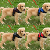 Maxbell Maxbell Breathable Pet Dog Saddle Mesh Vest Harness Padded Chest Strap  Black_M