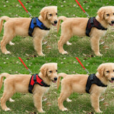 Maxbell Maxbell Breathable Pet Dog Saddle Mesh Vest Harness Padded Chest Strap  Black_M