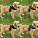 Maxbell Maxbell Breathable Pet Dog Saddle Mesh Vest Harness Padded Chest Strap  Black_M