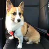 Maxbell Maxbell Adjustable Pet Cat Dog Car Seat Belt Restraint Harness Leash Red_M
