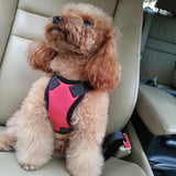 Maxbell Maxbell Adjustable Pet Cat Dog Car Seat Belt Restraint Harness Leash Red_M
